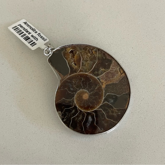 One of A Kind Ammolite Fossil Pendant - Picture 7 of 10